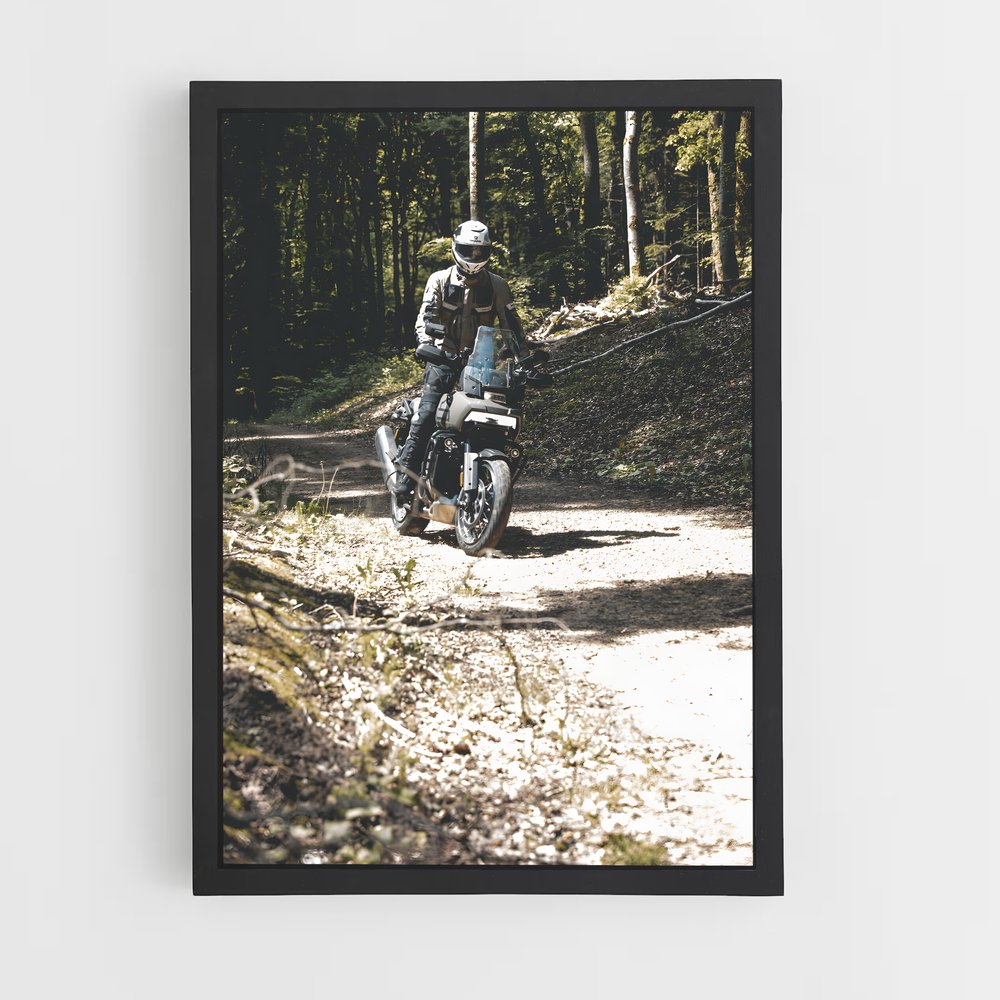 Poster envoûtant de Pan America – affiche Harley-Davidson (vue 2)